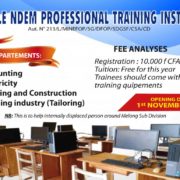 Ndem professional training institute