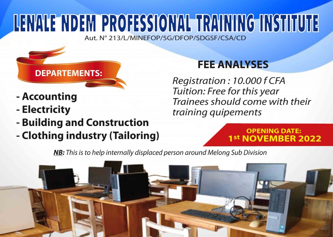Ndem professional training institute