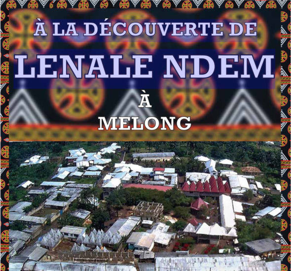 À LA DÉCOUVERTE DELENALE NDEM